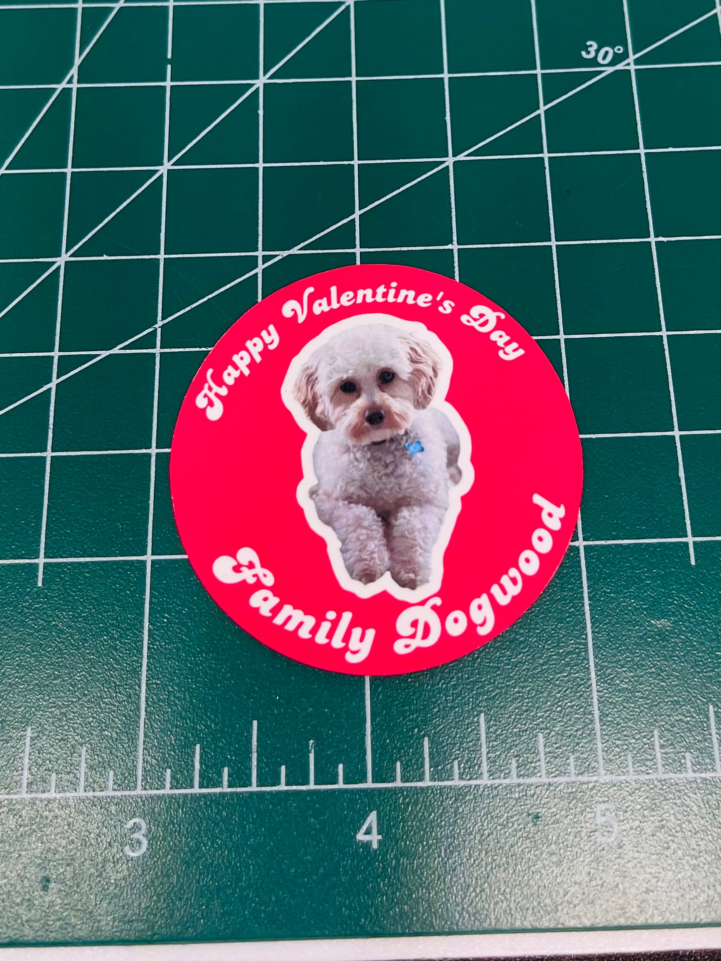Personalized Family Valentine's Day Stickers,Cute, Funny decal For Laptop, Phone, Case, Decoration, personalizing journals, water bottles